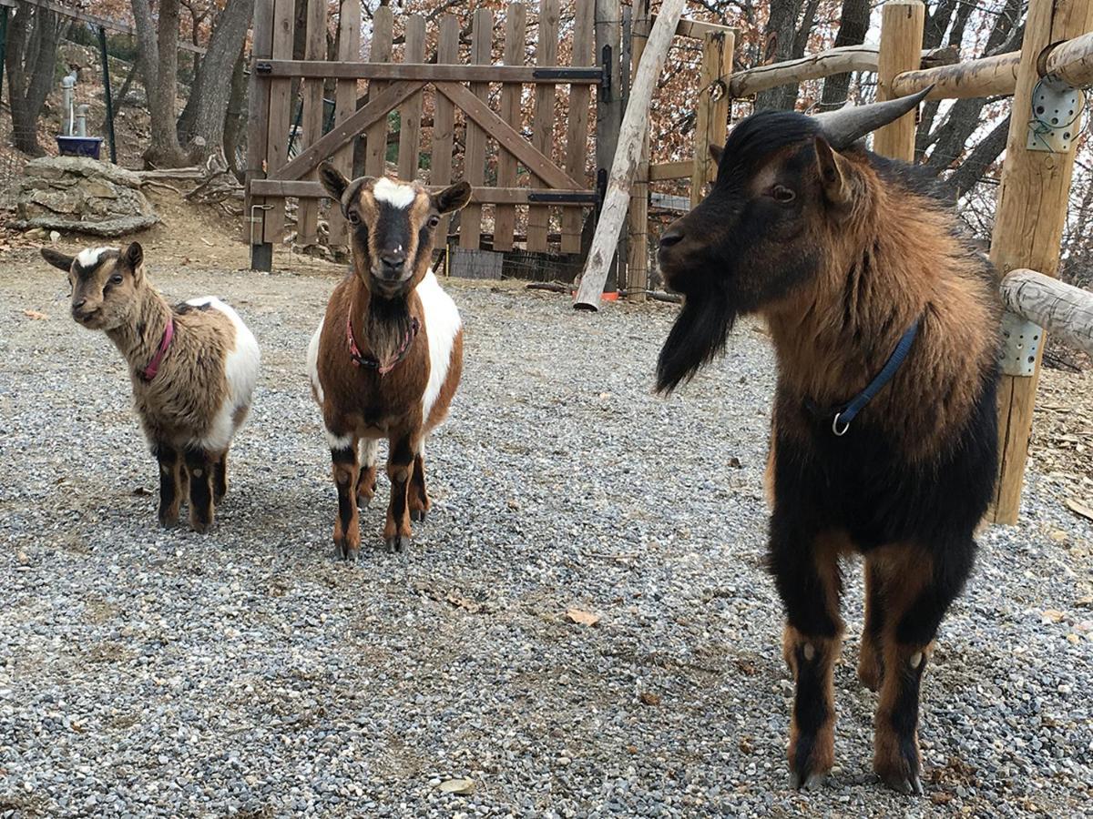 Cisano sul NevaGli Angeli Agriturismo别墅 外观 照片