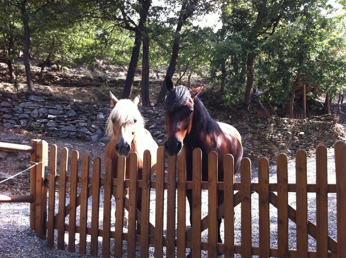 Cisano sul NevaGli Angeli Agriturismo别墅 外观 照片